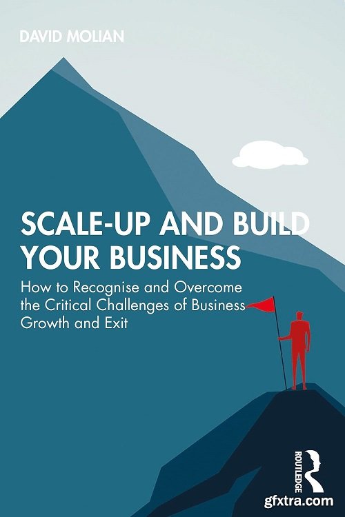 Scale-Up and Build Your Business : How to Recognise and Overcome the Critical Challenges of Business Growth and Exit