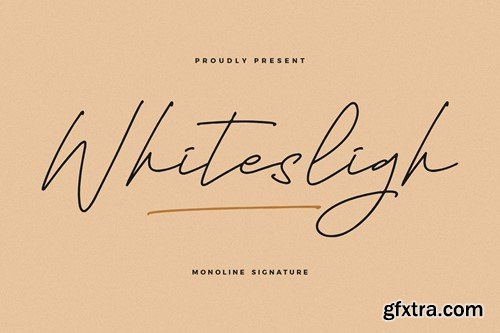 Whitesligh Monoline Signature Font GGZ5B2A