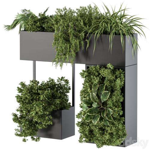 Plant Box on wall - indoor Plants 300