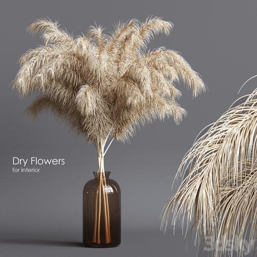 Dry flowers 03