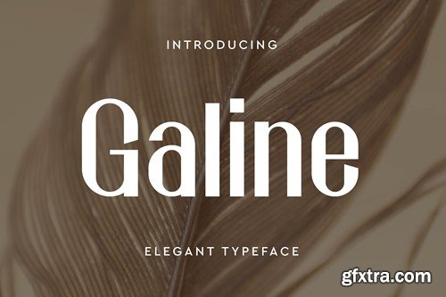 Galine | Minimalist Elegant Font 7V4XM9K