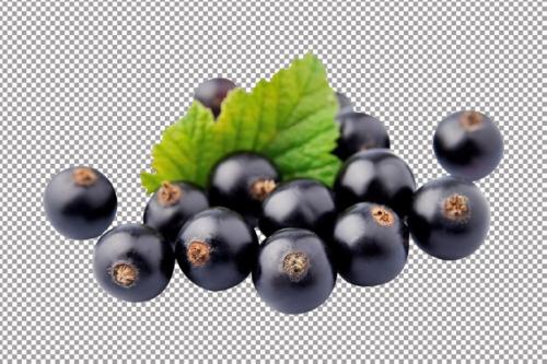 Blackcurrant With Leafs On White Background