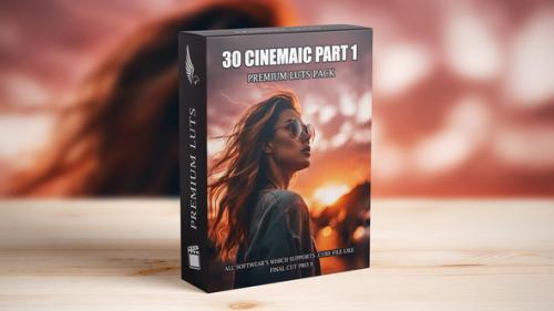 Videohive - Cinematic Excellence LUTs Bundle - High-Quality Film Tone Presets for Editors - 50169218