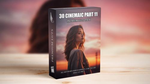 Videohive - FilmMaker's Dream LUTs Pack - Ultimate Grading Presets for Videos - 50177735