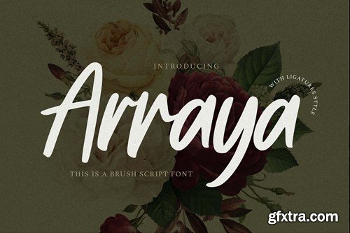 Arraya - This is a Brush Script Font D3RN9ZG
