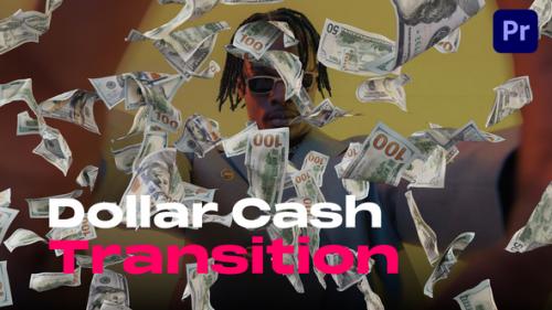 Videohive - Dollar Cash Transitions - 50173092
