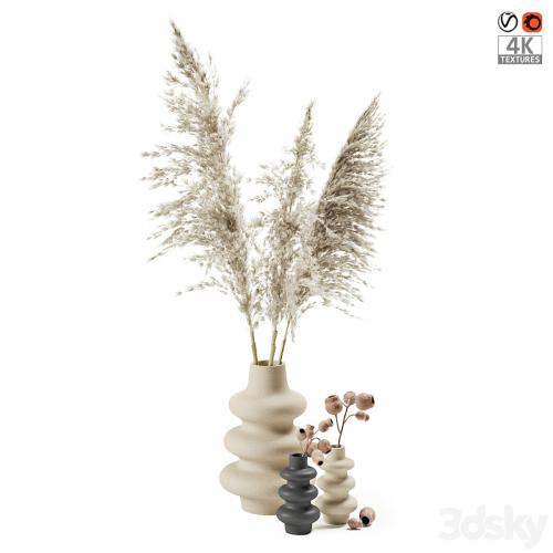 Vases with dried plants