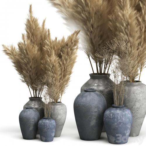 Decorative set of Clay Vases and Pampas Grass