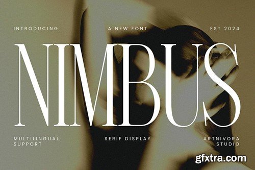 Nimbus - Serif Display Font JJFXSW4