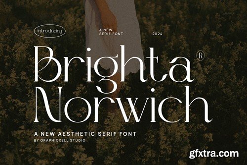 Brighta Norwich Elegant Serif Font Typeface VTU6RHY