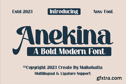 Anekina - Bold Modern Font A45RPZC