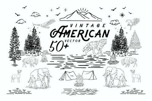 50 American Vector