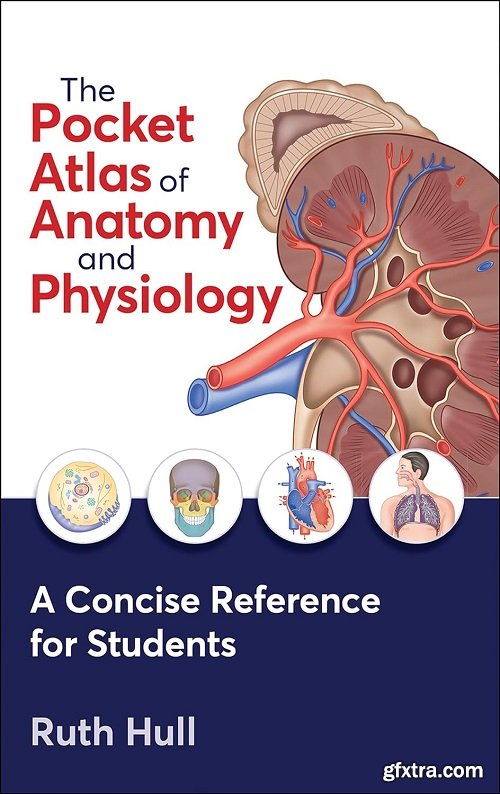 The Pocket Atlas of Anatomy and Physiology
