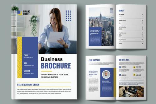 Professional Business Brochure