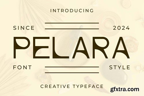 Pelara - Creative Elegant Typeface EQ3QQC4