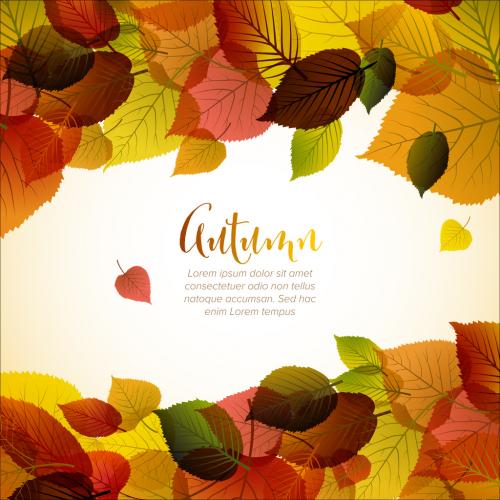 Adobe Stock - Autumn Leaves Background Digital Flyer Layout - 374999800