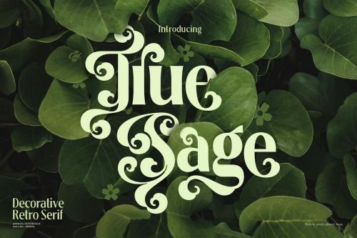 True Sage - Modern Vintage Victorian font