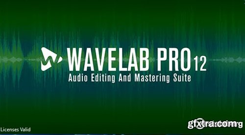 Steinberg WaveLab Pro v12.0