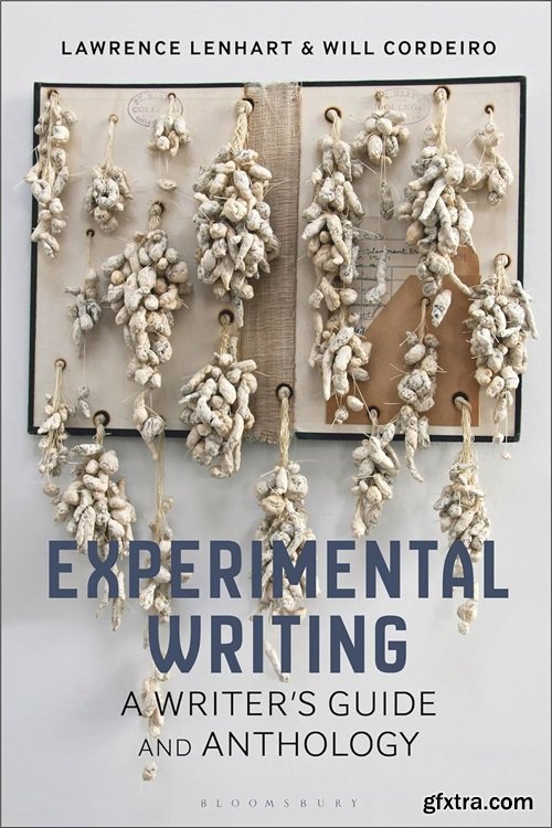 Experimental Writing: A Writer\'s Guide and Anthology