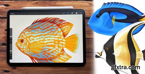 Illustrate Tropical Fishes In Procreate