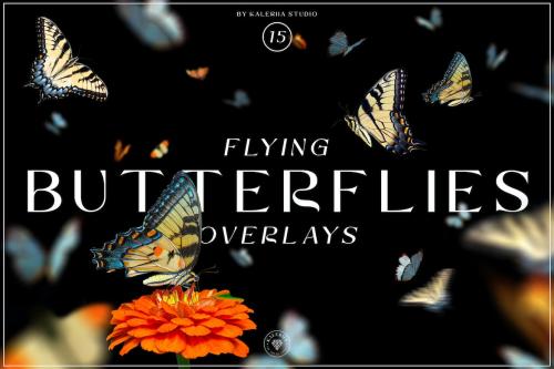 Flying Butterflies Overlays