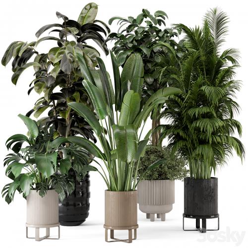 Indoor Plants in Ferm Living Bau Pot Large - Set 548