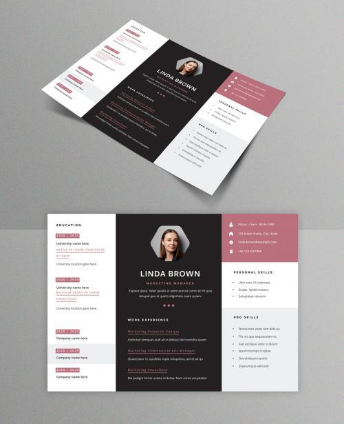 Adobe Stock - Horizontal Resume Layout with Divided Sections - 395125377