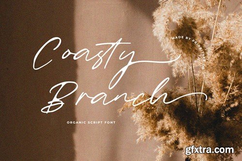 Coasty Branch - Organic Script Font E2EKPC6