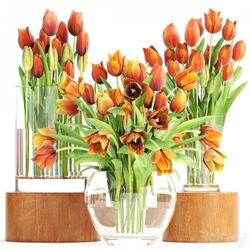 Set of spring bouquets 3. Tulips, flower, orange, vase, spring flowers