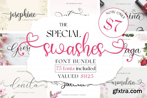 The Special Swashes Font Bundle 20235673