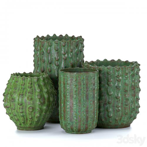Decorative vases Cactus