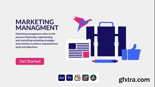 Videohive Marketing Management Design Concept 50691265