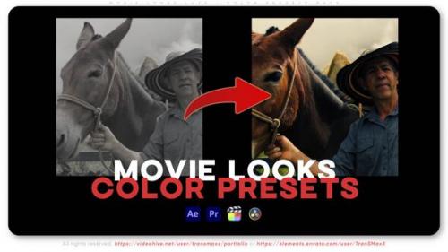 Videohive - Movie Looks LUTs - Color Presets Pack - 50533830