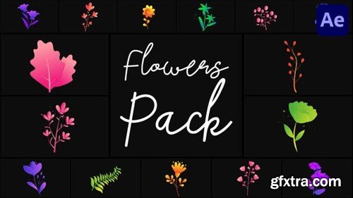 Videohive Flowers Pack for After Effects 50689716