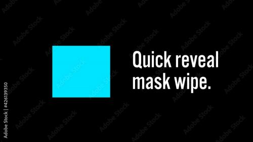 Adobe Stock - Quick Wipe Text Reveal - 426139350