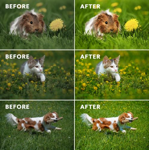 Adobe Stock - Before and After Photo Effect - 430848137