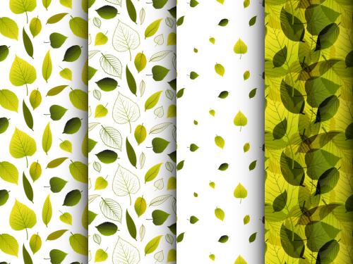 Adobe Stock - Four Various Pattern with Nature Green Leafs - 432005243