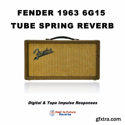 PastToFutureReverbs Fender 1963 6G15 Tube Spring Reverb