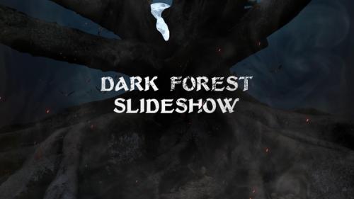 Videohive - Dark Forest Slideshow - 50734449