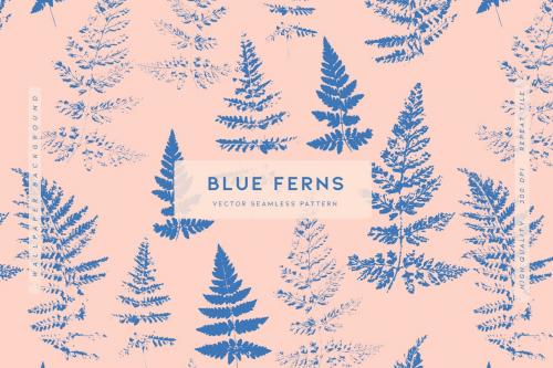 Blue Ferns