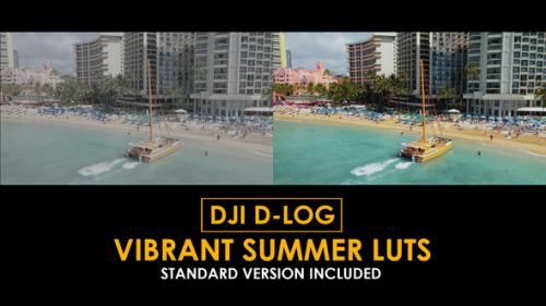 Videohive - DJI D-Log Vibrant Summer LUTs - 50812783
