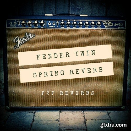 PastToFutureReverbs Fender 65 Twin Spring Reverb
