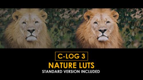 Videohive - Canon C-Log3 Nature and Standard LUTs - 50848403