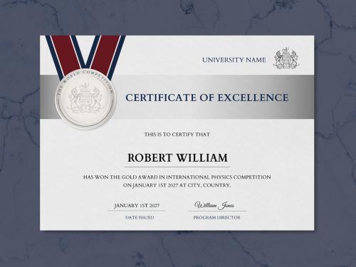 Adobe Stock - Professional Award Certificate Layout - 447310574