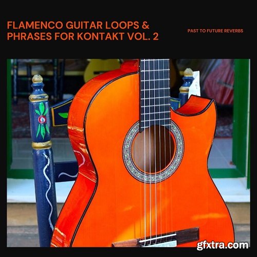 PastToFutureReverbs Flamenco Guitar Loops And Phrases Vol 2
