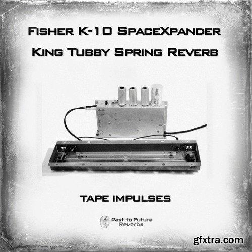 PastToFutureReverbs King Tubby Spring Reverb Fisher K-10 SpaceXpander