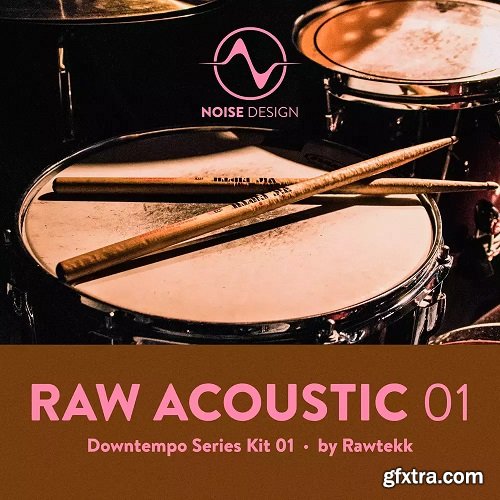 Steinberg Noise Design Raw Acoustic Downtempo 1