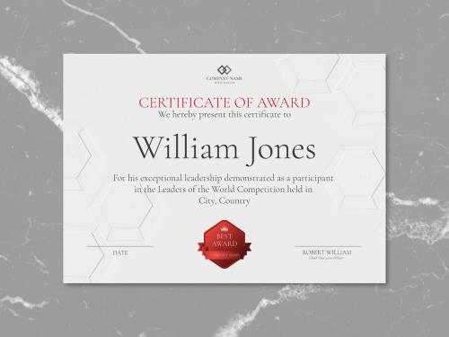 Adobe Stock - Professional Award Certificate Template - 450199993