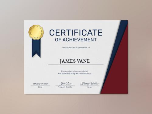 Adobe Stock - Professional Award Certificate Template - 450200065
