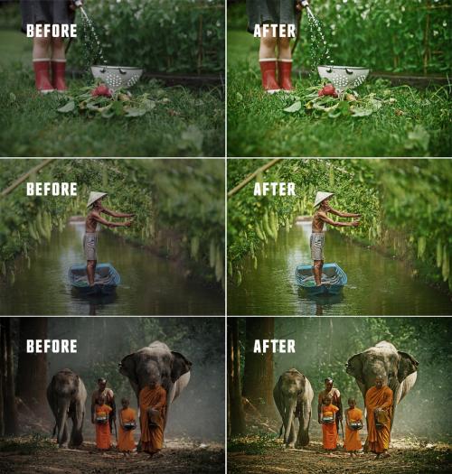 Adobe Stock - Before and After Photo Effect - 454407665
